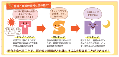 質の良い睡眠をとるための体内物質の紹介のイラスト